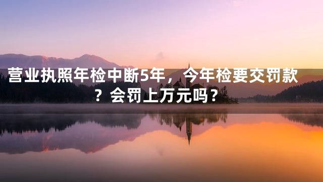 营业执照年检中断5年，今年检要交罚款？会罚上万元吗？