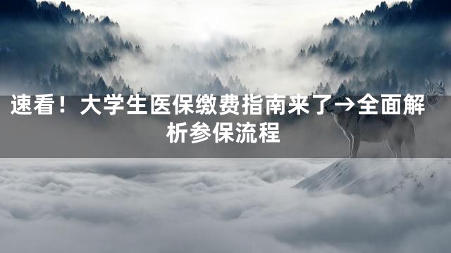 速看！大学生医保缴费指南来了→全面解析参保流程