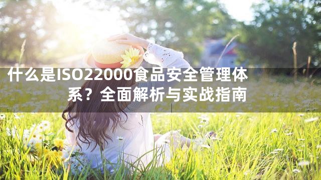 什么是ISO22000食品安全管理体系？全面解析与实战指南