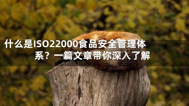 什么是ISO22000食品安全管理体系？一篇文章带你深入了解