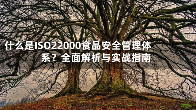 什么是ISO22000食品安全管理体系？全面解析与实战指南