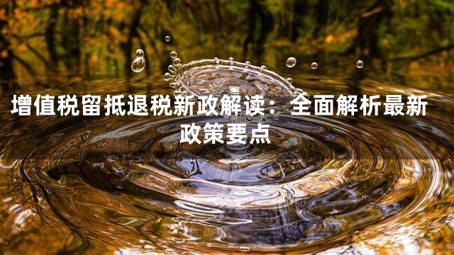 增值税留抵退税新政解读：全面解析最新政策要点