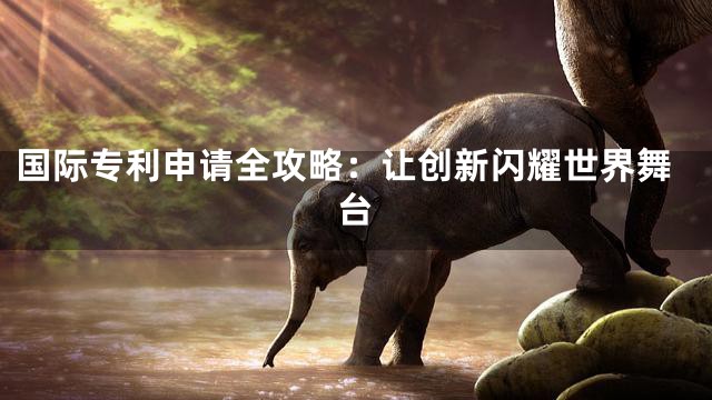 国际专利申请全攻略：让创新闪耀世界舞台