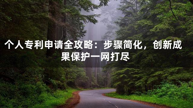 个人专利申请全攻略：步骤简化，创新成果保护一网打尽