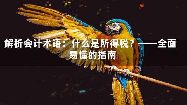 解析会计术语：什么是所得税？——全面易懂的指南