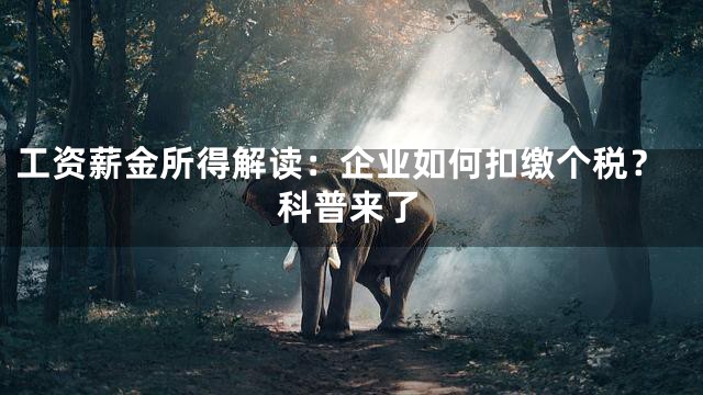 工资薪金所得解读：企业如何扣缴个税？科普来了