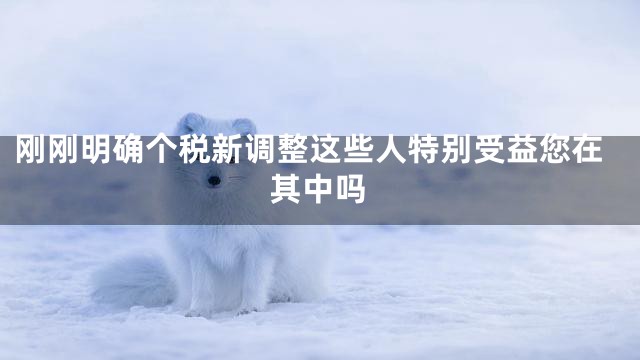刚刚明确个税新调整这些人特别受益您在其中吗