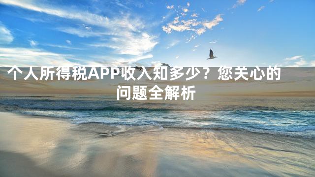 个人所得税APP收入知多少？您关心的问题全解析
