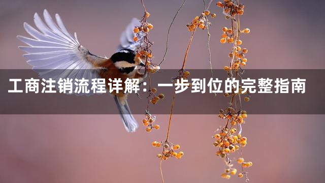 工商注销流程详解：一步到位的完整指南