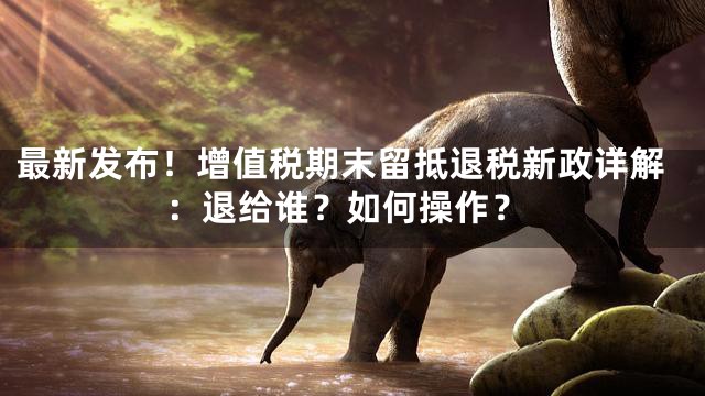 最新发布！增值税期末留抵退税新政详解：退给谁？如何操作？
