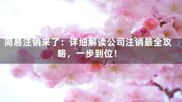 简易注销来了：详细解读公司注销最全攻略，一步到位！
