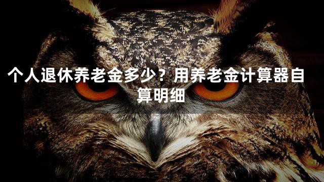个人退休养老金多少？用养老金计算器自算明细
