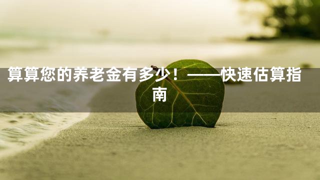 算算您的养老金有多少！——快速估算指南