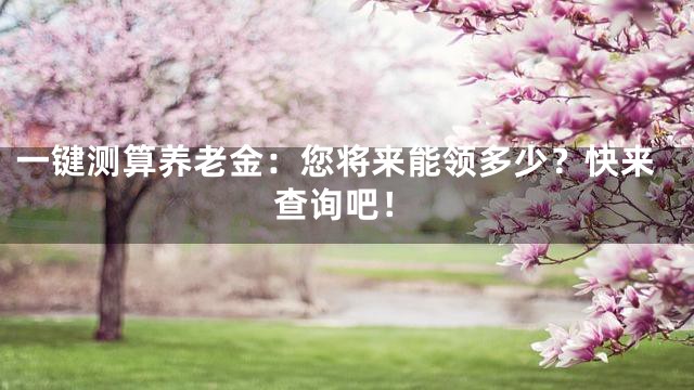 一键测算养老金：您将来能领多少？快来查询吧！