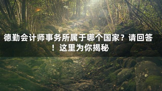 德勤会计师事务所属于哪个国家？请回答！这里为你揭秘