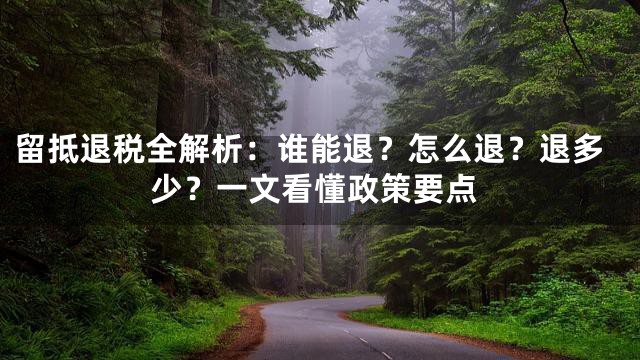 留抵退税全解析：谁能退？怎么退？退多少？一文看懂政策要点