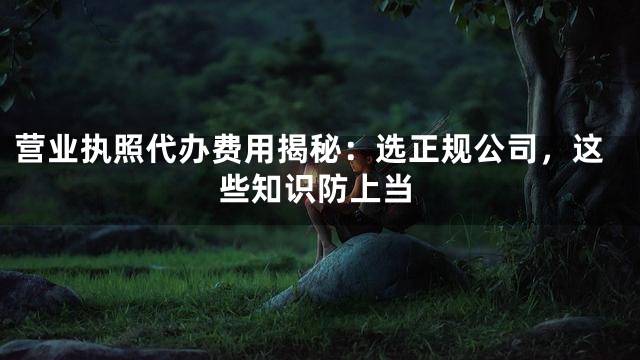 营业执照代办费用揭秘：选正规公司，这些知识防上当
