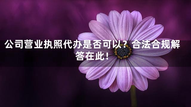 公司营业执照代办是否可以？合法合规解答在此！