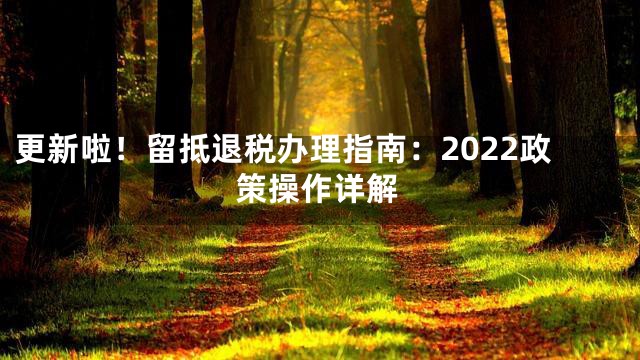 更新啦！留抵退税办理指南：2022政策操作详解