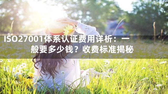 ISO27001体系认证费用详析：一般要多少钱？收费标准揭秘