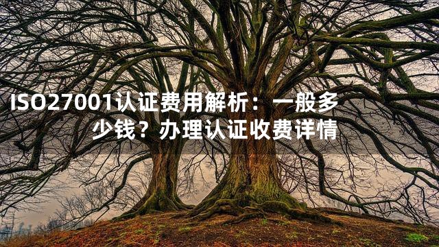 ISO27001认证费用解析：一般多少钱？办理认证收费详情