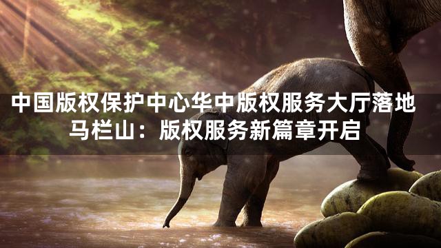 中国版权保护中心华中版权服务大厅落地马栏山：版权服务新篇章开启
