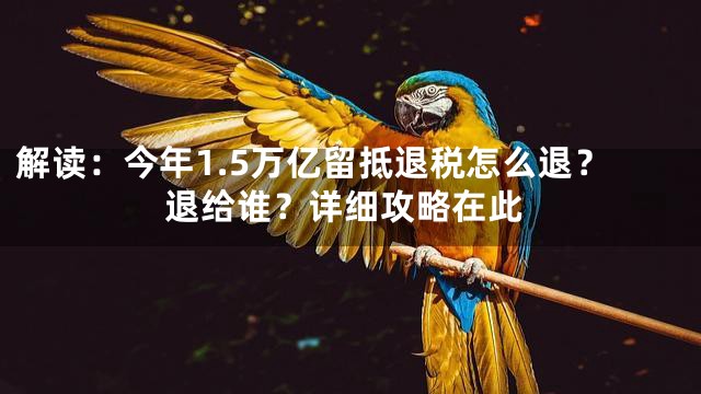 解读：今年1.5万亿留抵退税怎么退？退给谁？详细攻略在此