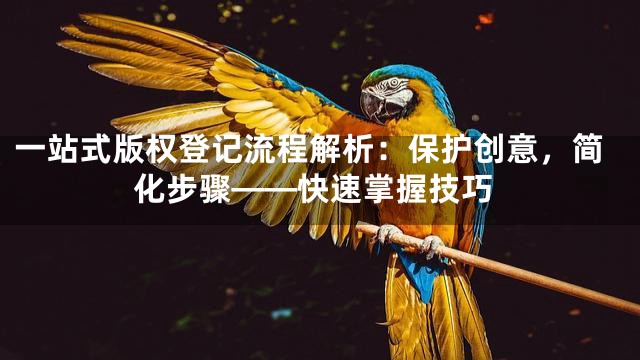 一站式版权登记流程解析：保护创意，简化步骤——快速掌握技巧