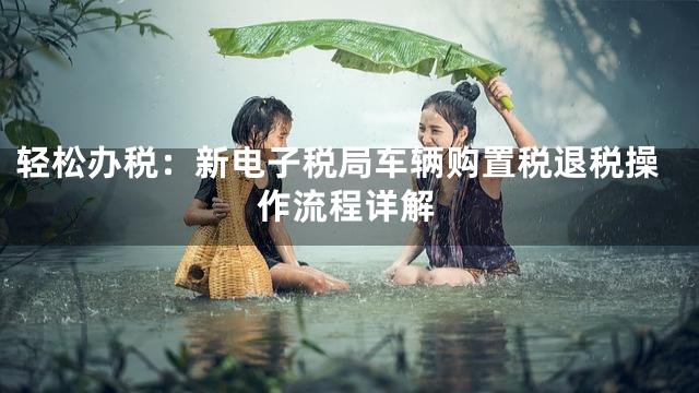 轻松办税：新电子税局车辆购置税退税操作流程详解