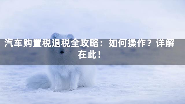 汽车购置税退税全攻略：如何操作？详解在此！