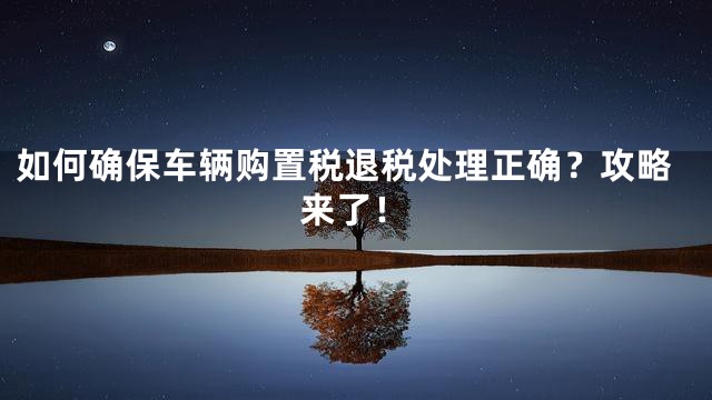 如何确保车辆购置税退税处理正确？攻略来了！
