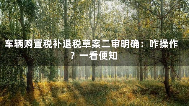 车辆购置税补退税草案二审明确：咋操作？一看便知