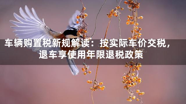 车辆购置税新规解读：按实际车价交税，退车享使用年限退税政策
