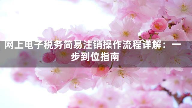 网上电子税务简易注销操作流程详解：一步到位指南