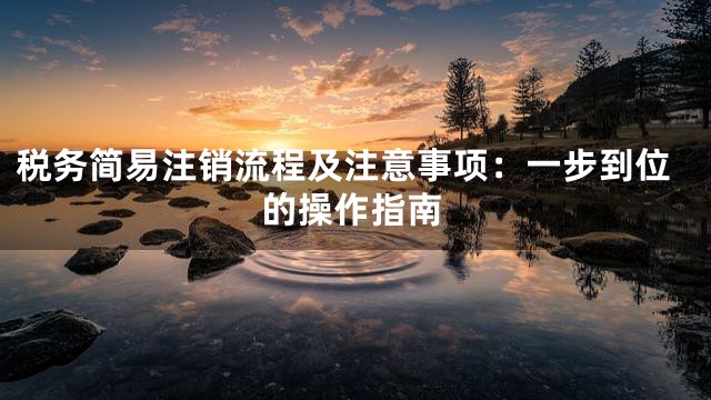 税务简易注销流程及注意事项：一步到位的操作指南