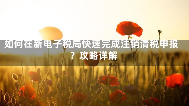 如何在新电子税局快速完成注销清税申报？攻略详解