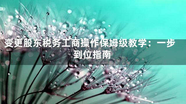 变更股东税务工商操作保姆级教学：一步到位指南