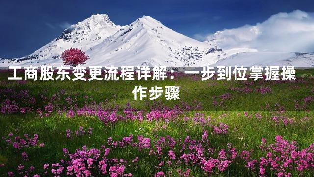 工商股东变更流程详解：一步到位掌握操作步骤