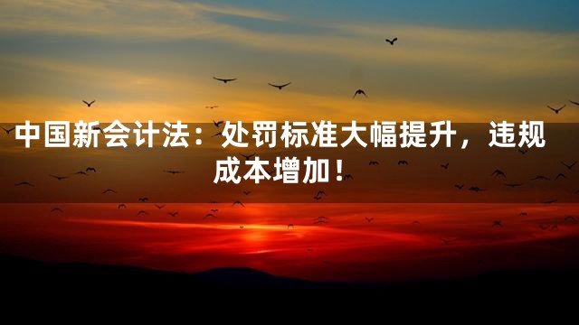中国新会计法：处罚标准大幅提升，违规成本增加！