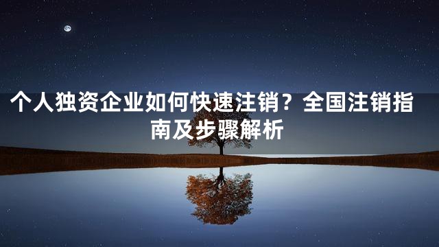 个人独资企业如何快速注销？全国注销指南及步骤解析