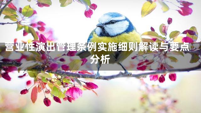 营业性演出管理条例实施细则解读与要点分析
