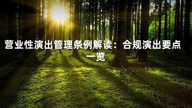 营业性演出管理条例解读：合规演出要点一览