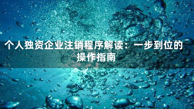 个人独资企业注销程序解读：一步到位的操作指南