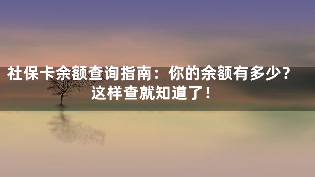 社保卡余额查询指南：你的余额有多少？这样查就知道了！