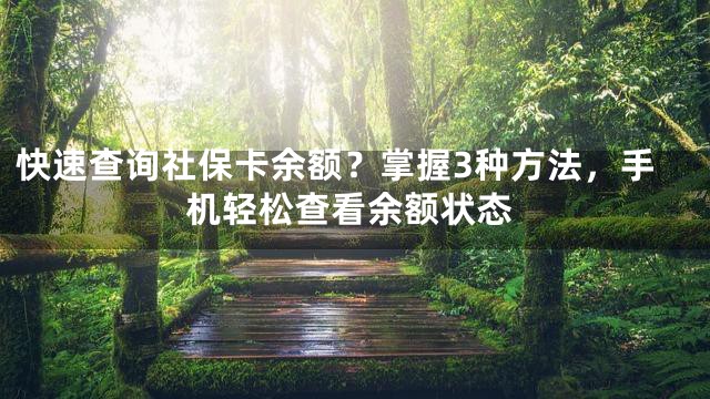 快速查询社保卡余额？掌握3种方法，手机轻松查看余额状态
