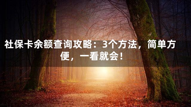 社保卡余额查询攻略：3个方法，简单方便，一看就会！