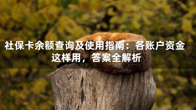 社保卡余额查询及使用指南：各账户资金这样用，答案全解析
