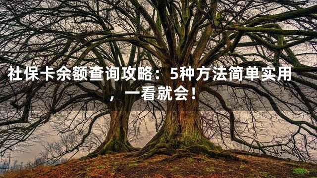 社保卡余额查询攻略：5种方法简单实用，一看就会！