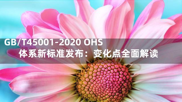 GB/T45001-2020 OHS体系新标准发布：变化点全面解读