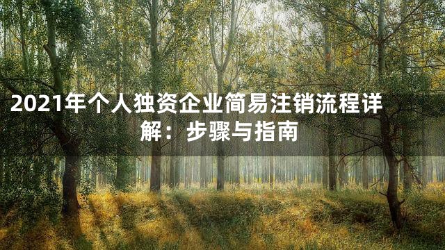 2021年个人独资企业简易注销流程详解：步骤与指南